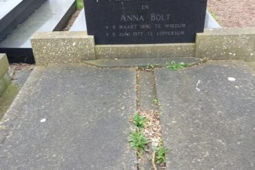Anna Bolt